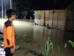 Lahan Sawah 45 Ha Terdampak Banjir di Kabupaten Batu Bara