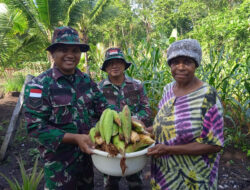 Satgas Yonif 123/RW ajak Masyarakat Perbatasan Papua Panen Jagung