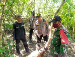 Dua Ekor Harimau Sumatra Ditemukan Mati Terjerat, di Aceh Timur