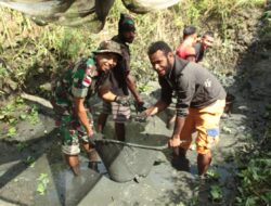 Berhasil Budidaya Ikan Lele, Satgas Yonif 126/KC Panen Bersama Masyarakat Perbatasan Papua