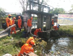 UPT Pengelolaan Persampahan Wil 1 Bersihkan Sampah Kali Penombo