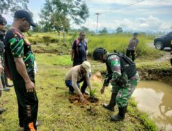 Melestarikan Tanaman Khas Papua, Satgas Yonif Raider 142/KJ Lakukan Penanaman Bibit Pinang