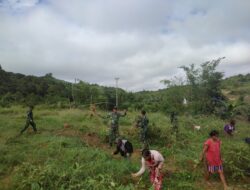 Personel Satgas Pamtas Yonarmed 19/105 Trk Bogani Bantu Kelompok Wanita Tani Buka Lahan Pertanian