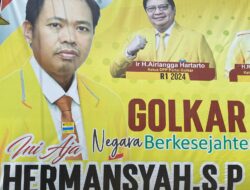 Hermansyah, Adalah Seorang Caleg DPRD Kabupaten Berau Dapil I Yang Memiliki Pengalaman di Bidang Pemerintahan