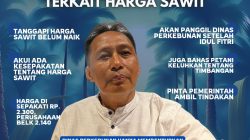 Ketua Komisi II DPRD Berau, Andi Amir Angkat Bicara Terkait Harga Sawit